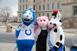 Colts Blue with Buttercup and Pork mascot
