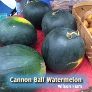 Cannon Ball Watermelon