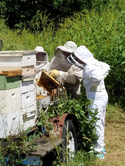 Wildflower Ridge Honey Harvest